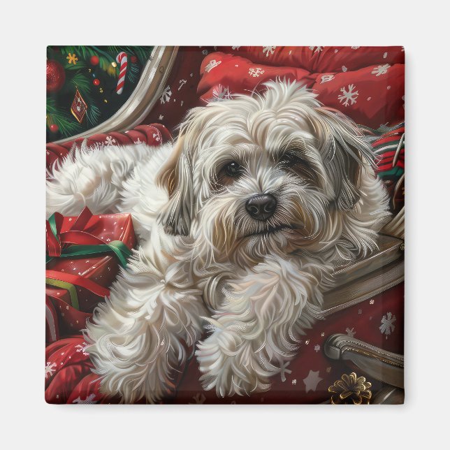 Havanese Dog Christmas Festive Magnet (Front)