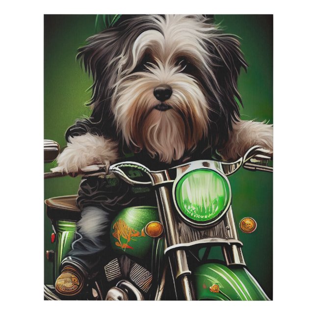 Havanese Dog Driving Bike St. Patrick's Day Faux Canvas Print (Front)