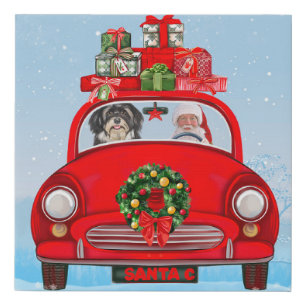 Havanese Dog In Car With Santa Claus  Faux Canvas Print