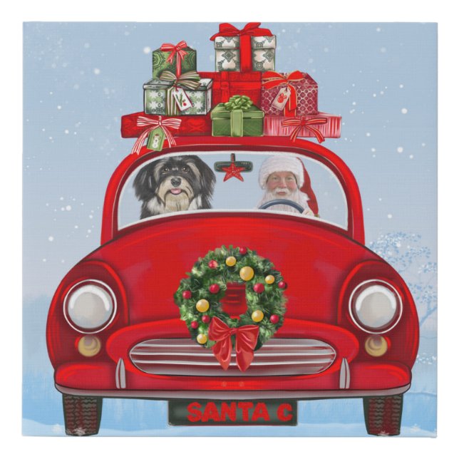 Havanese Dog In Car With Santa Claus  Faux Canvas Print (Front)