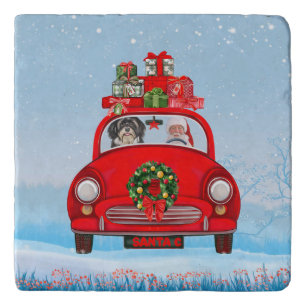 Havanese Dog In Car With Santa Claus  Trivet