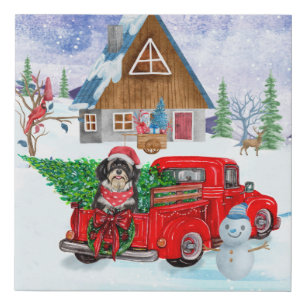 Havanese Dog In Christmas Delivery Truck Snow  Faux Canvas Print