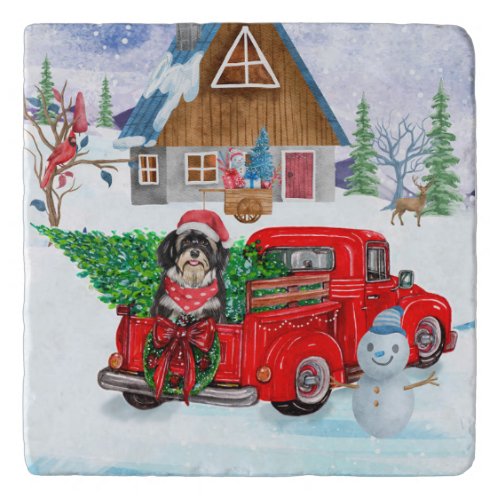 Havanese Dog In Christmas Delivery Truck Snow  Trivet