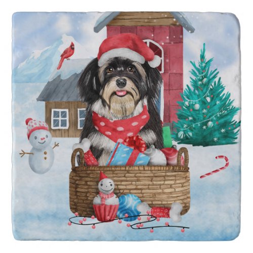 Havanese Dog In snow Christmas Dog House Trivet