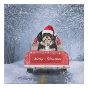 Havanese Dog in Snow sitting in Christmas Truck Faux Canvas Print