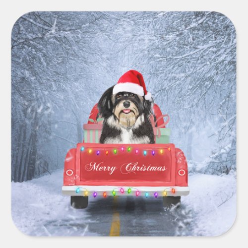 Havanese Dog in Snow sitting in Christmas Truck  Square Sticker