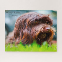 Havanese Dog. Jigsaw Puzzle