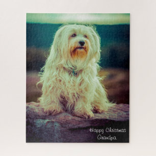 Havanese Dog. Jigsaw Puzzle