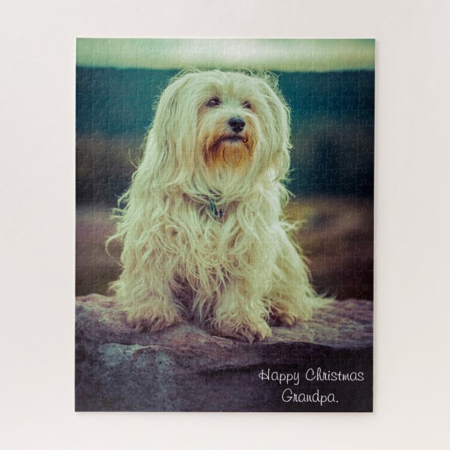 Havanese Dog. Jigsaw Puzzle (Vertical)