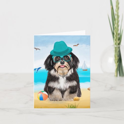 Havanese Dog on Beach Card