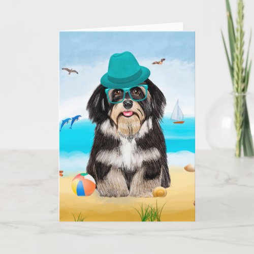 Havanese Dog on Beach  Card