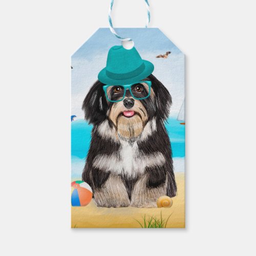 Havanese Dog on Beach Gift Tags