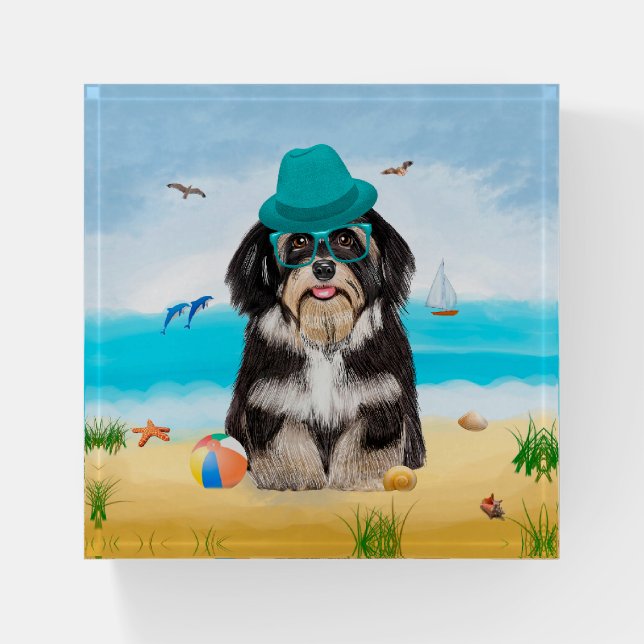Havanese Dog on Beach Paperweight (Front)