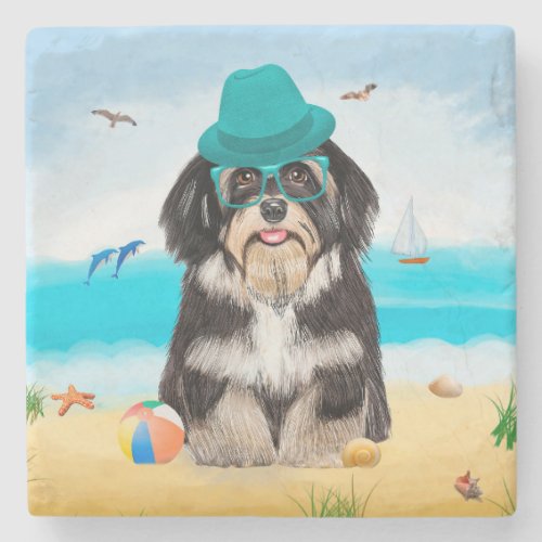 Havanese Dog on Beach Stone Coaster