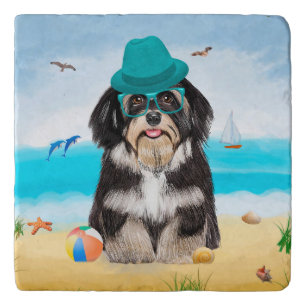 Havanese Dog on Beach Trivet