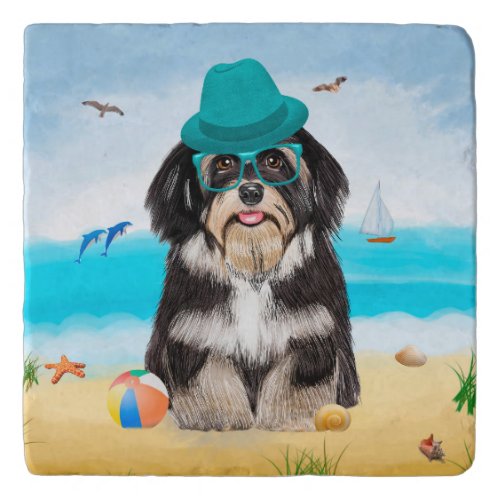 Havanese Dog on Beach Trivet