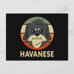 Havanese Dog Owner Havana Postcard