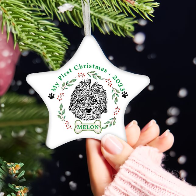 Havanese Dog Personalized Hand Drawing Ceramic Ornament (Creator Uploaded)