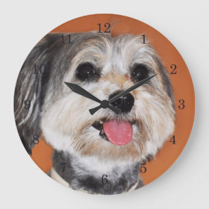 Havanese Dog Portrait Large Clock