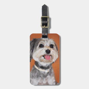 Havanese Dog Portrait Luggage Tag