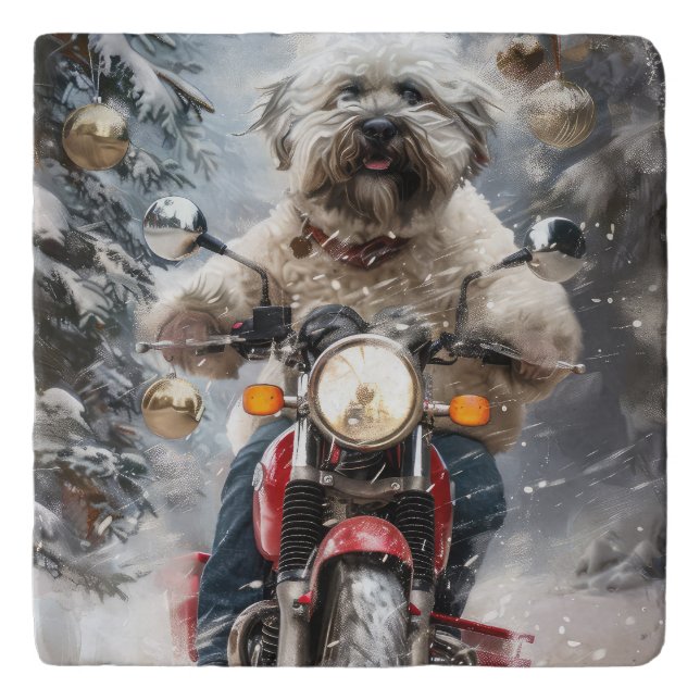 Havanese Dog Riding Motorcycle Christmas Trivet (Front)