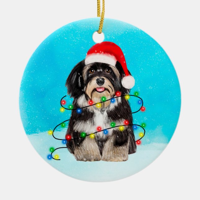 Havanese Dog Sitting In Snow Christmas Hat Lights Ceramic Ornament (Front)