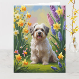 Havanese Dog Spring Flowers Painting Card