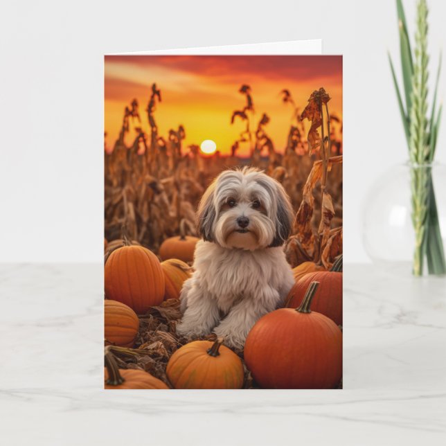 Havanese Dog Thanksgiving Holiday Card (Front)