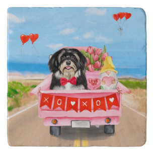 Havanese Dog Valentine's Day Truck Trivet