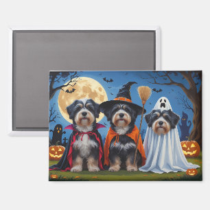 Havanese Dogs Pumpkin Halloween Funny Magnet