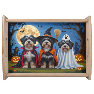 Havanese Dogs Pumpkin Halloween Funny  Serving Tray
