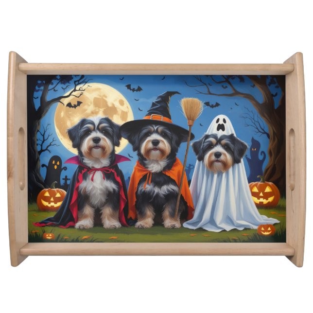 Havanese Dogs Pumpkin Halloween Funny  Serving Tray (Front)