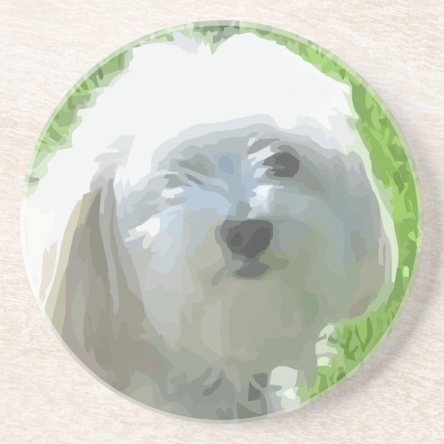 Havanese Drink Coaster (Front)