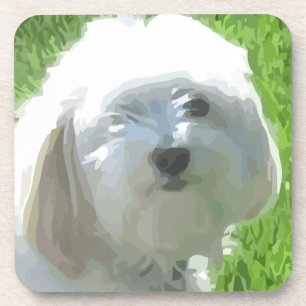 Havanese Drink Coaster