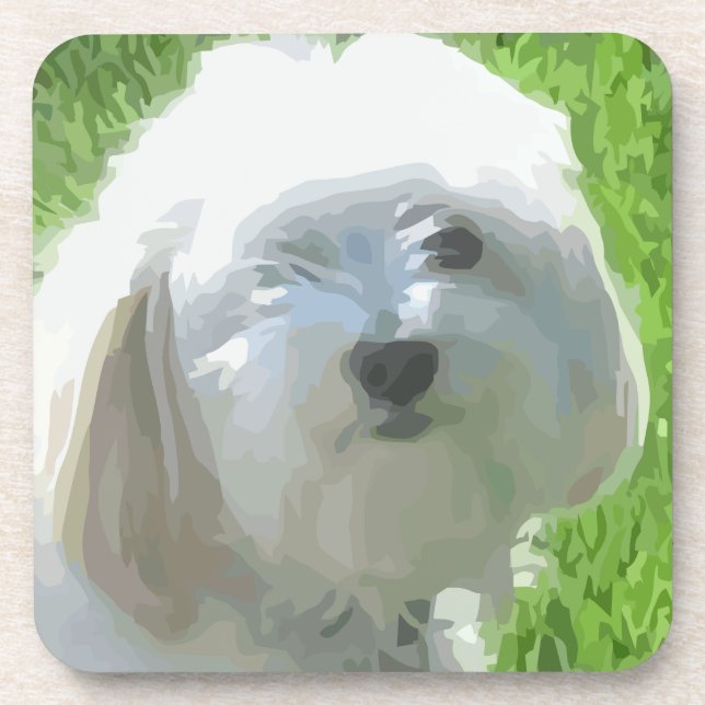 Havanese Drink Coaster (Front)
