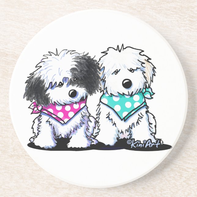 Havanese Duo Sandstone Coaster (Front)