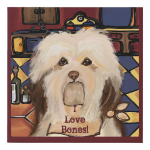 HAVANESE FAUX CANVAS PRINT