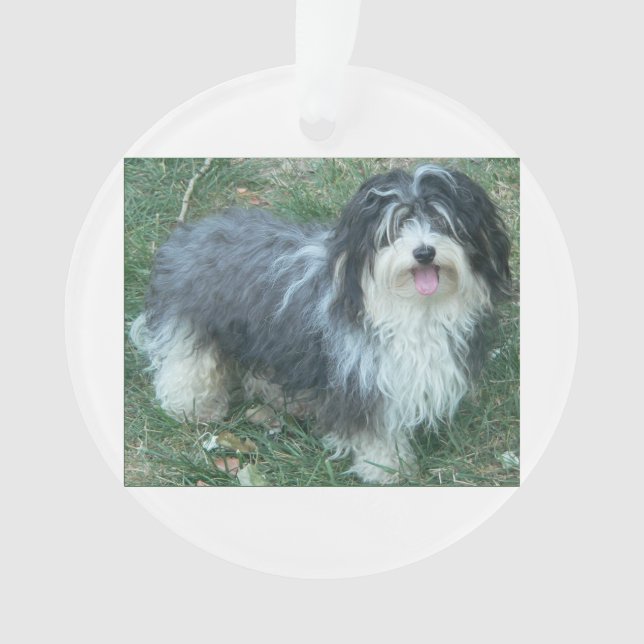 havanese full.png ornament (Front)