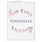 Havanese Furever (Front)