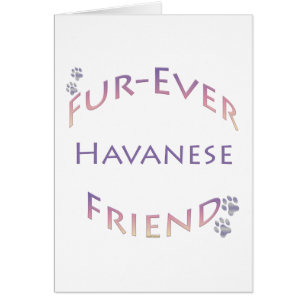 Havanese Furever Cards