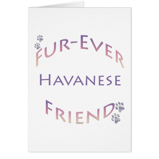 Havanese Furever Cards (Front)