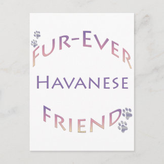 Havanese Furever Postcard