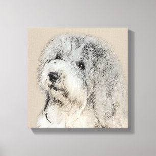 Havanese (Gold Sable) Painting - Original Dog Art Canvas Print
