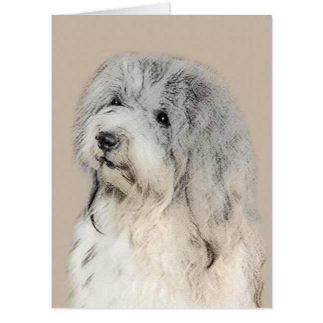 Havanese (Gold Sable) Painting - Original Dog Art Card (Front)