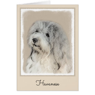 Havanese (Gold Sable) Painting - Original Dog Art Cards