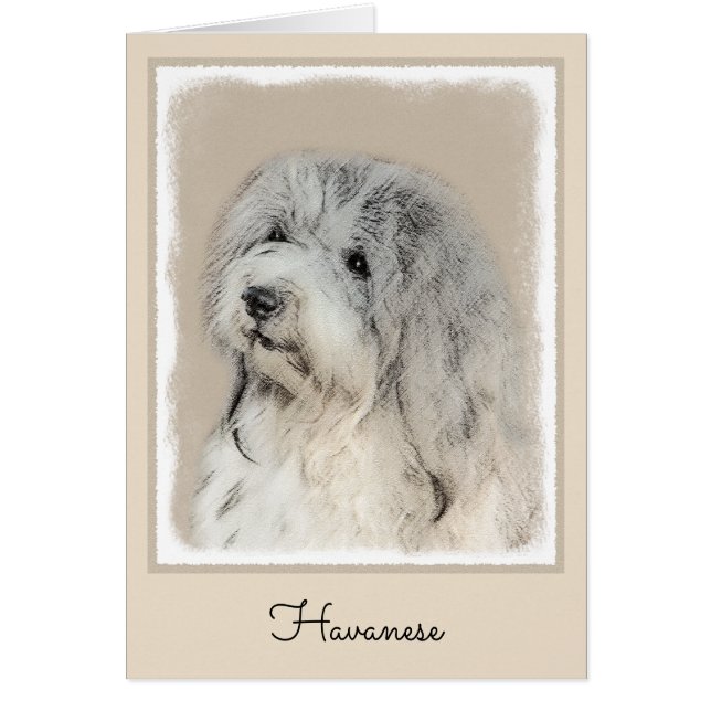 Havanese (Gold Sable) Painting - Original Dog Art Cards (Front)