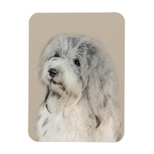 Havanese (Gold Sable) Painting - Original Dog Art Magnet