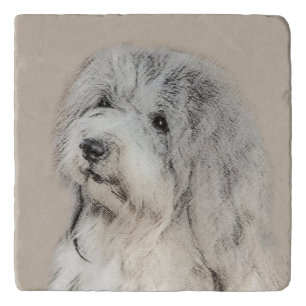 Havanese (Gold Sable) Painting - Original Dog Art Trivet