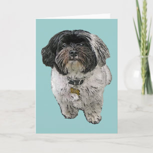 Havanese Greeting Card