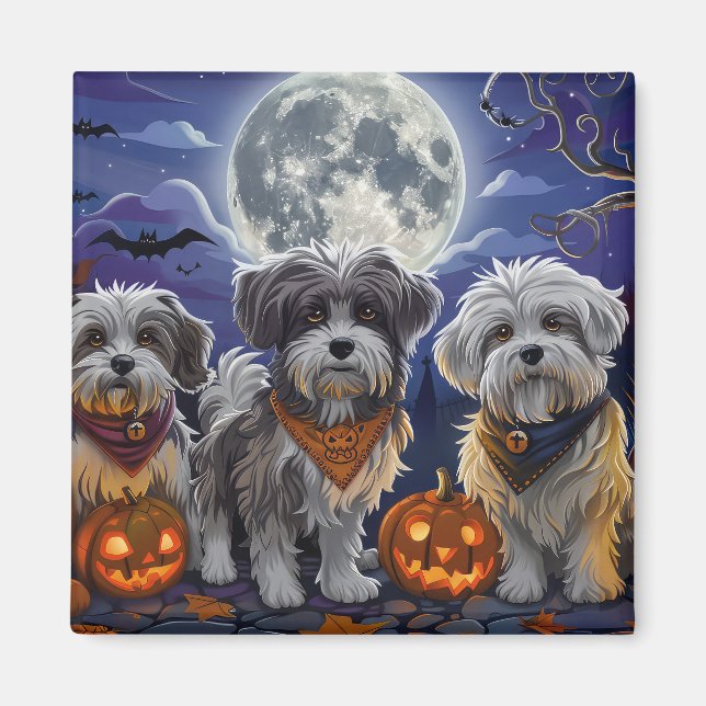 Havanese Halloween Spooky Magnet (Front)